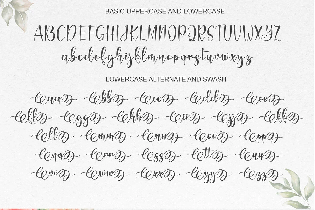 Magnolie Calligraphy Font Preview 4