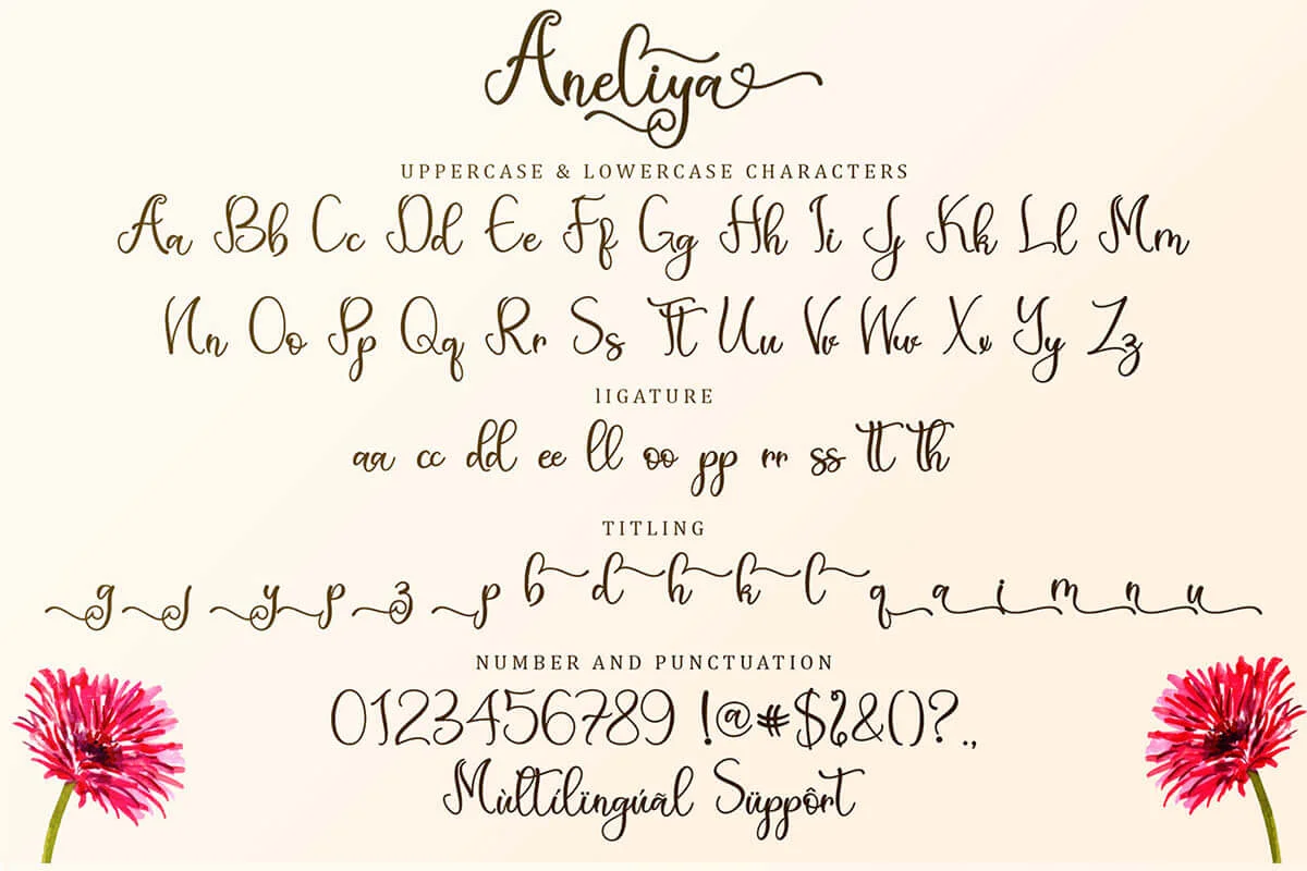 Aneliya Calligraphy Font Preview 6