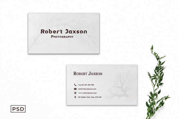 Free Creative Business Card Template V8