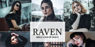 Free Raven Lightroom Presets