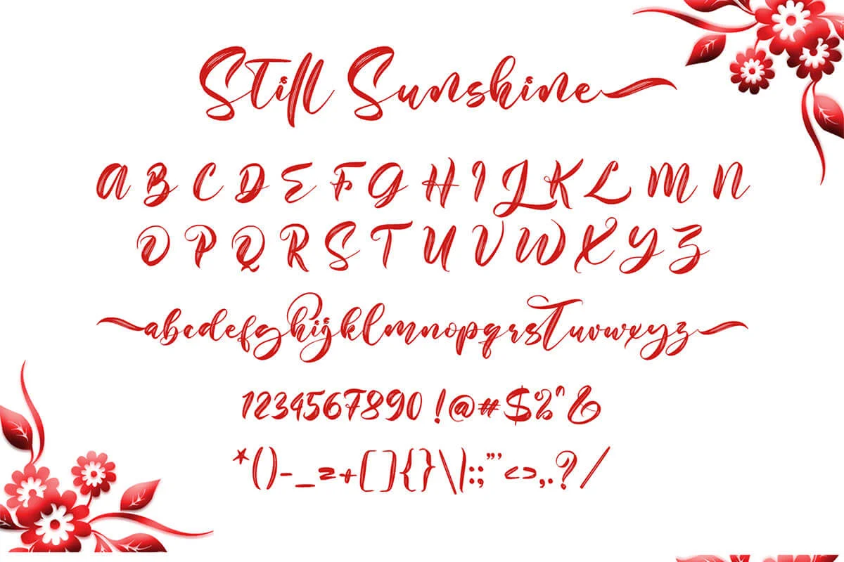 Still Sunshine Script Typeface Preview 4