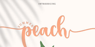 Free Summer Peach Caligraphy Font