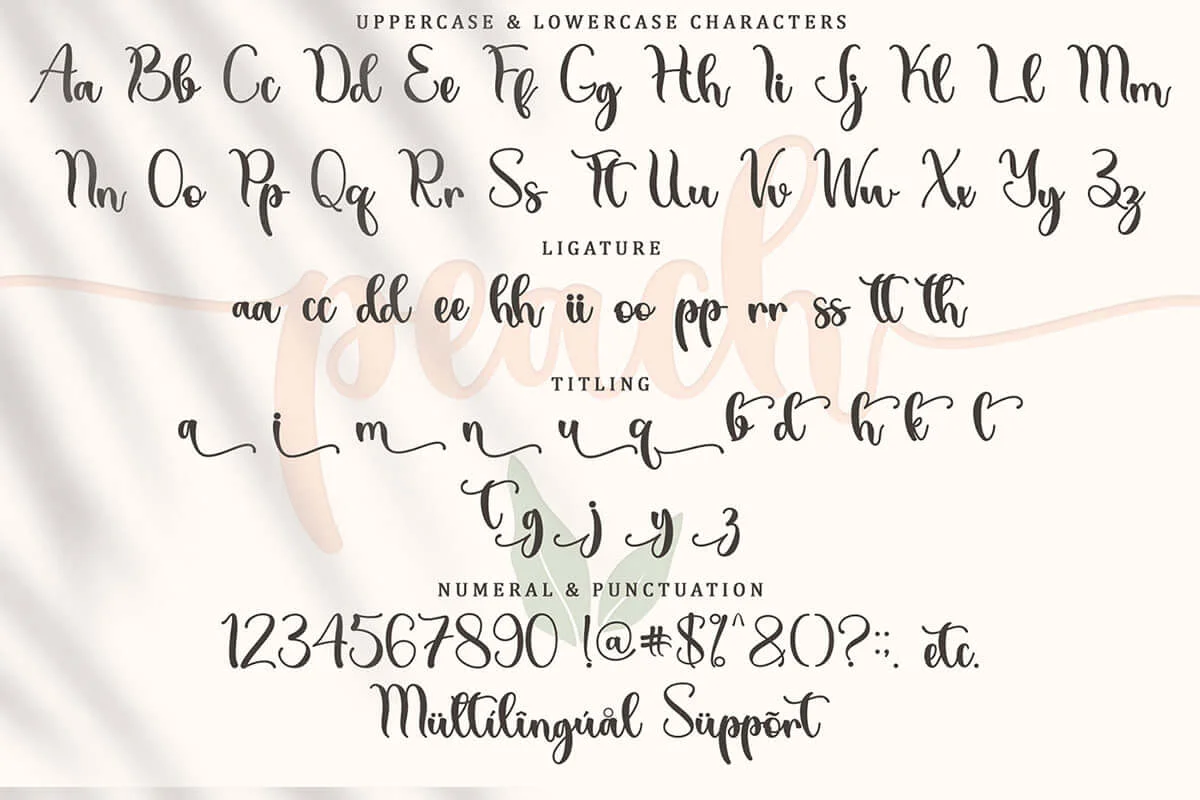 Summer Peach Calligraphy Font Preview 6