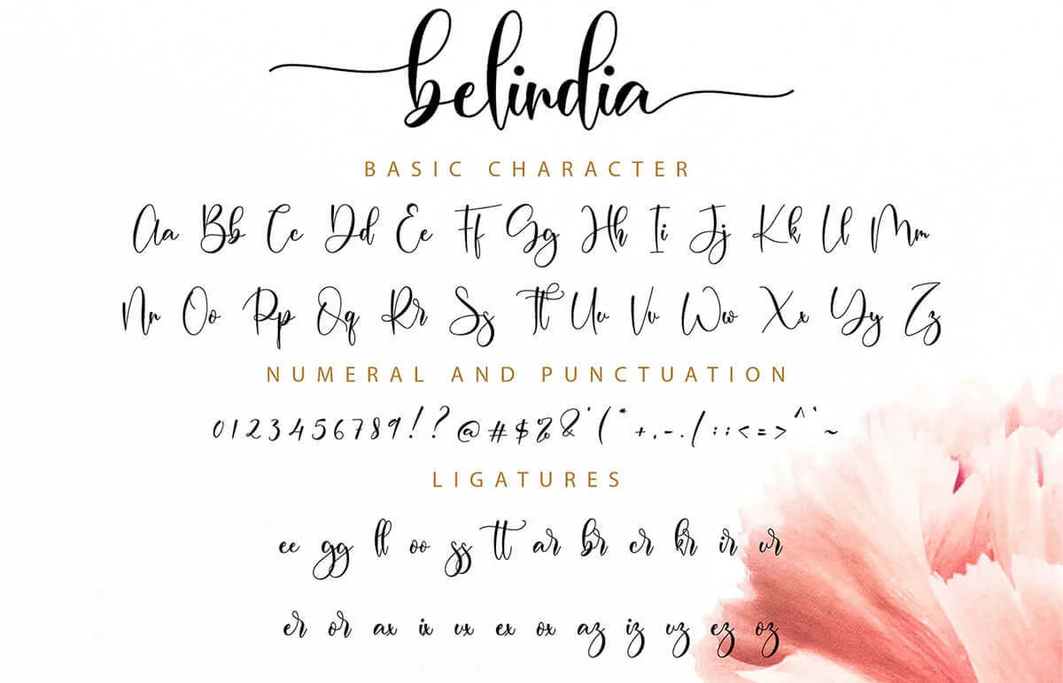 Belindia Calligraphy Font Preview 7