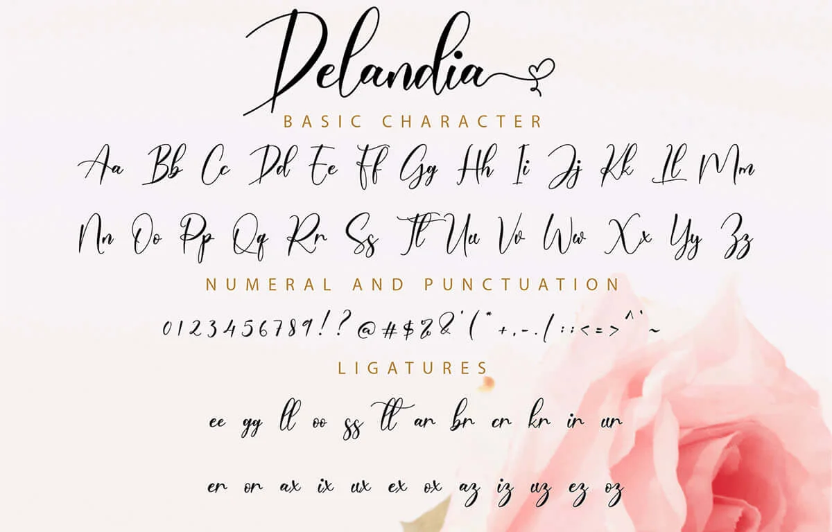 Delandia Calligraphy Font Preview 7