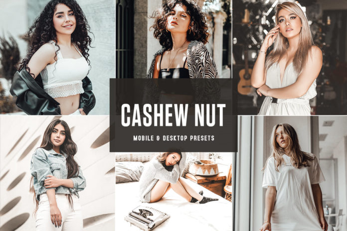 Free Cashew Nut Lightroom Presets