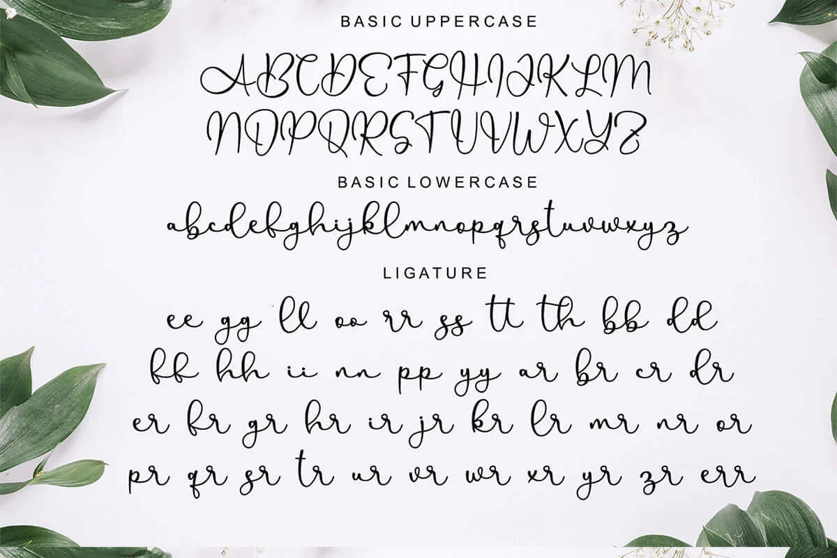Allenisa Calligraphy Font Preview 5