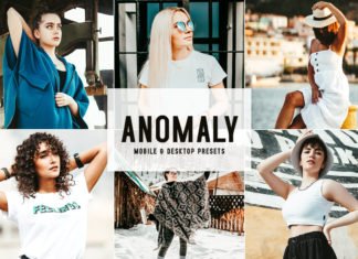 Free Anomaly Lightroom Presets