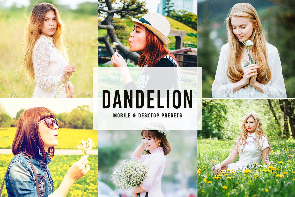 Free Dandelion Lightroom Presets