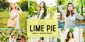 Free Lime Pie Lightroom Presets