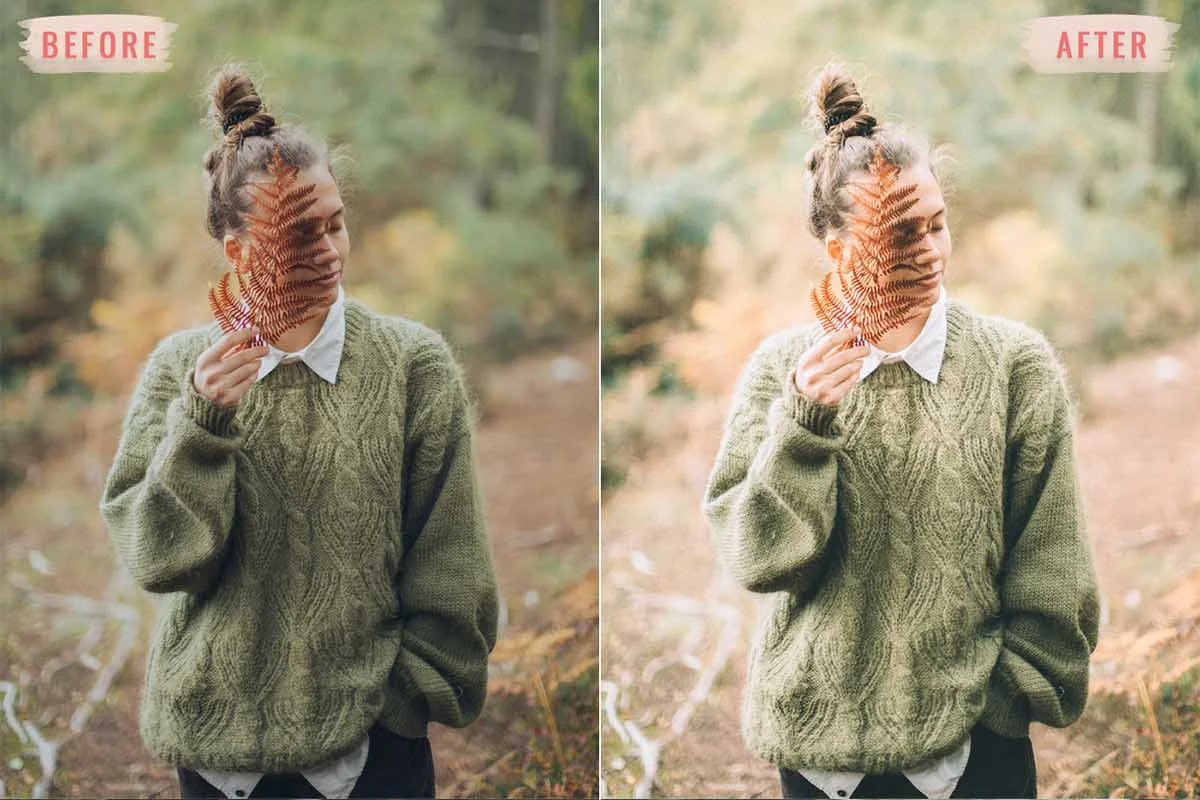 Foliage Lightroom Presets Preview 4