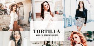 Tortilla Lightroom Presets
