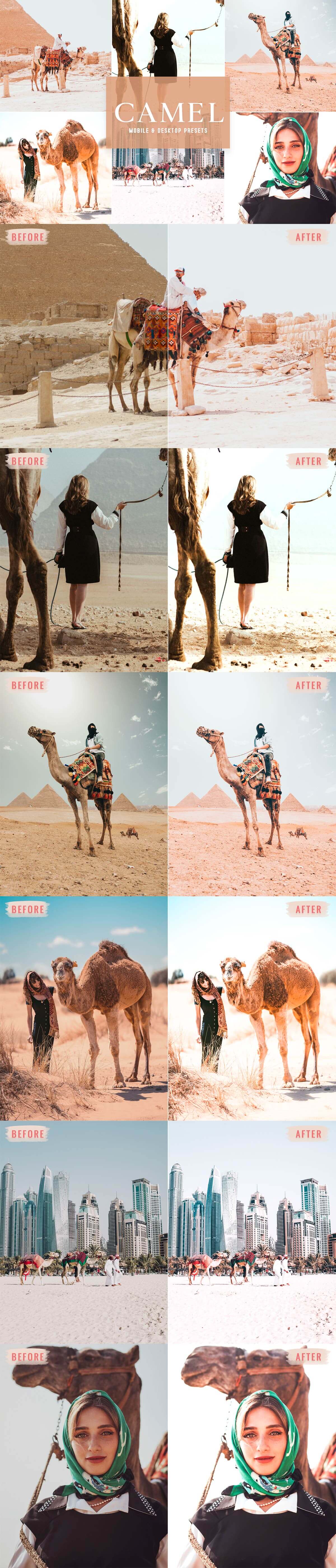 Camel Lightroom Presets