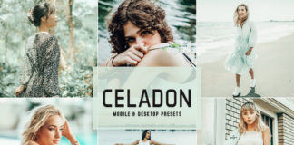 Celadon Lightroom Presets