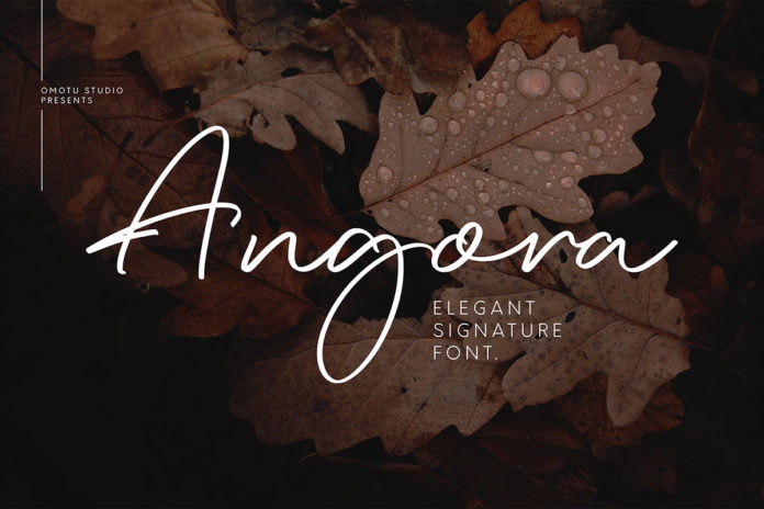 Free Angora Signature Font