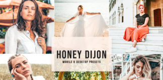 Honey Dijon Lightroom Presets