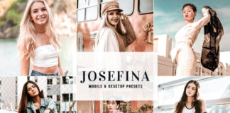 Josefina Lightroom Presets
