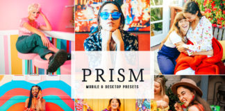 Prism Lightroom Presets