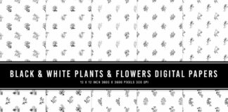 Black & White Plants & Flowers Digital Papers
