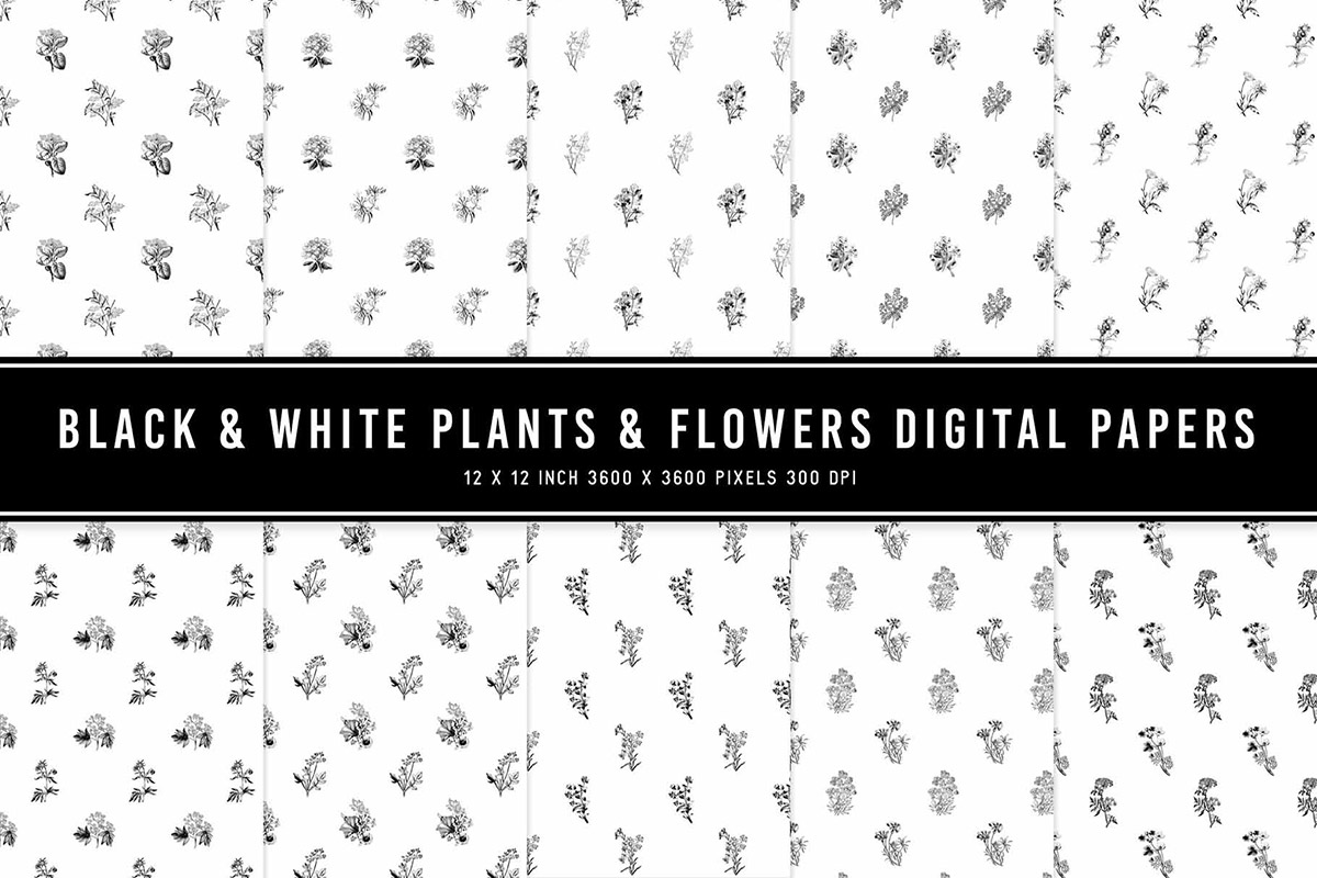 Black & White Plants & Flowers Digital Papers