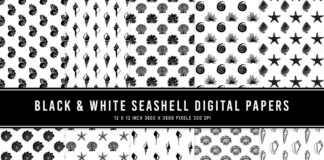 Black & White Seashell Digital Papers