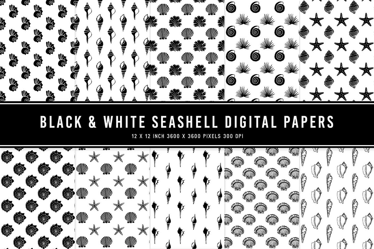 Black & White Seashell Digital Papers