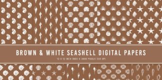 Brown & White Seashell Digital Papers