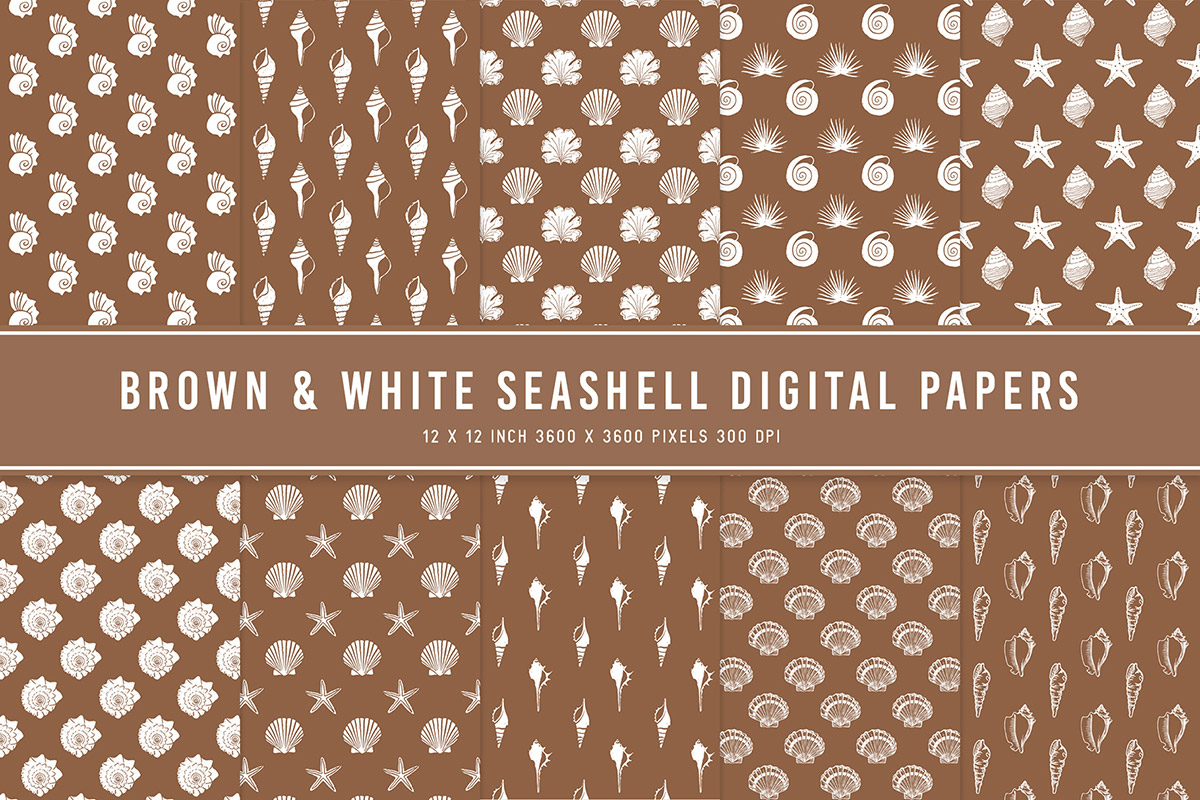 Brown & White Seashell Digital Papers