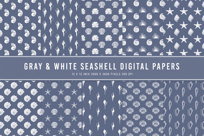 Gray & White Seashell Digital Papers