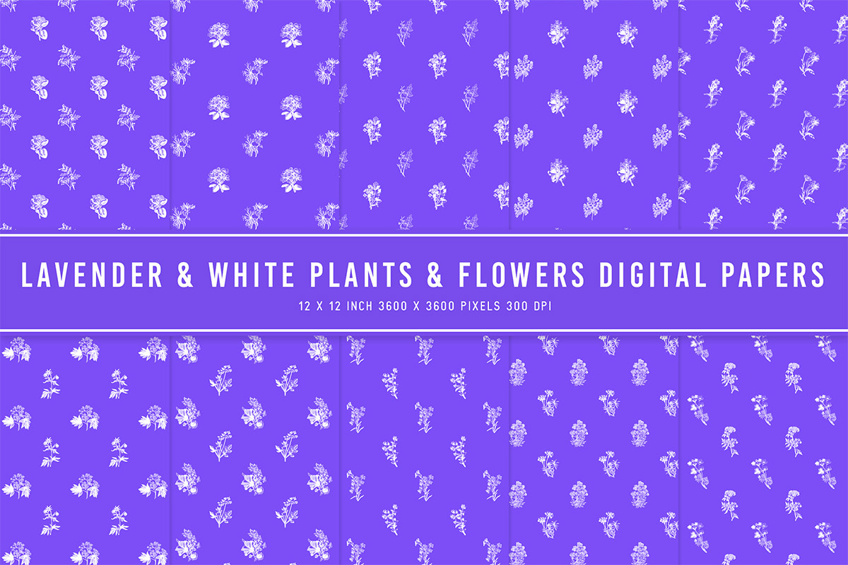 Lavender & White Plants & Flowers Digital Papers