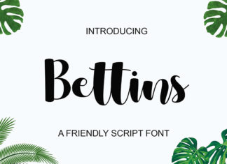 Bettins Script Font