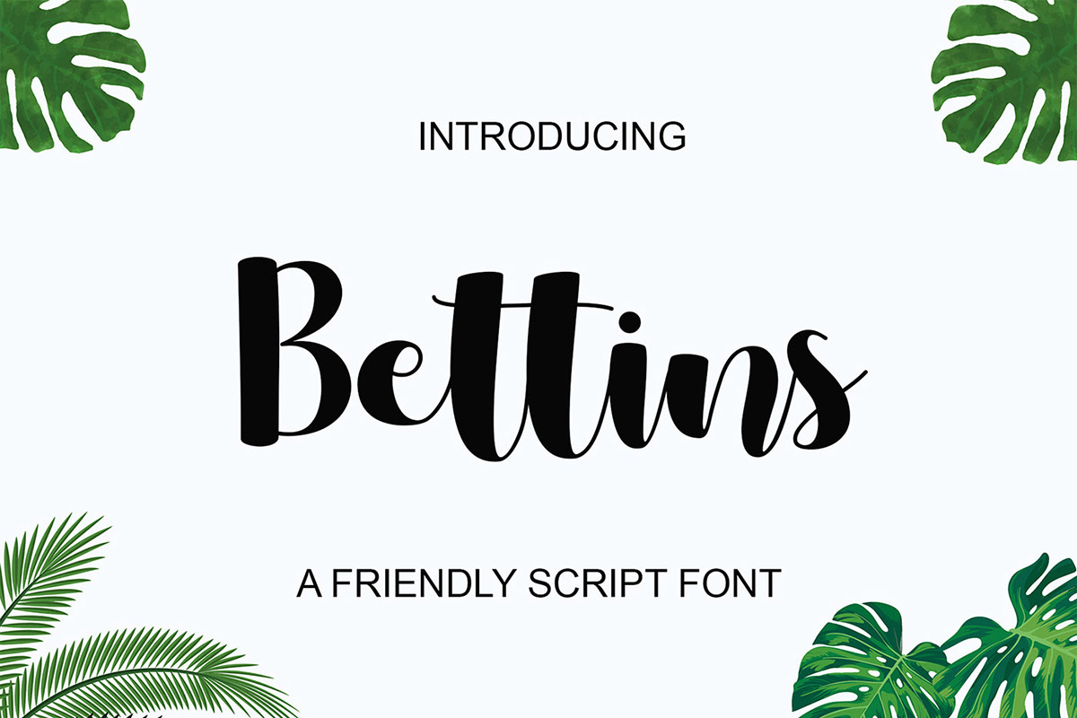 Bettins Script Font