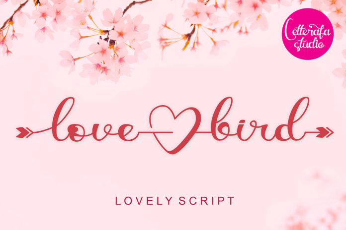 Lovebird Script Font