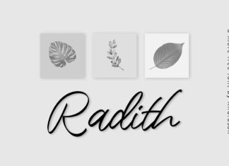 Radith Script Font