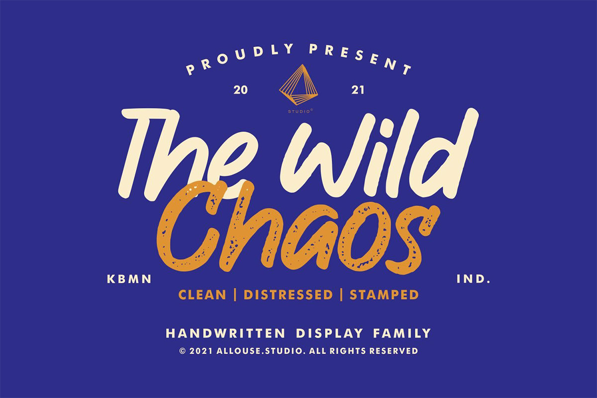 The Wild Chaos Display Typeface