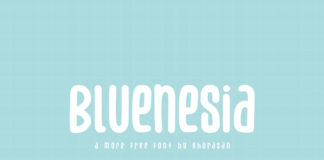 Bluenesia Display Font