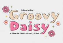 Groovy Daisy Handwritten Font