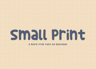 Small Print Display Font
