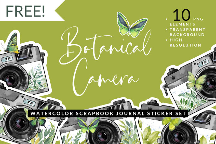 Watercolor Leaf Butterfly Camera Sticker