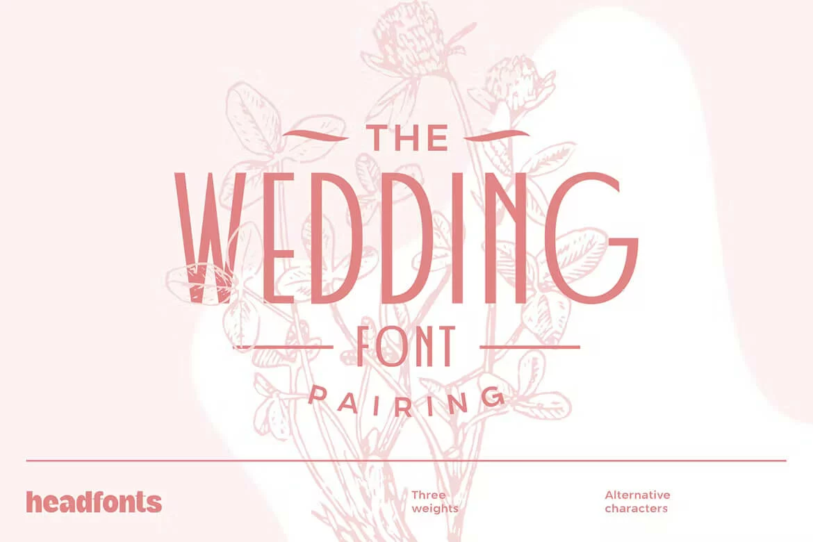 30 Best Wedding Fonts for 2024