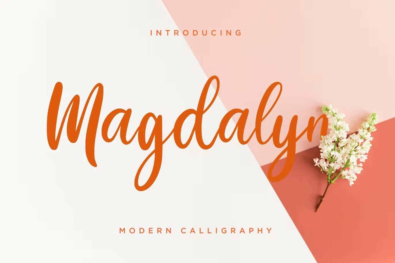 30 Best Wedding Fonts for 2024