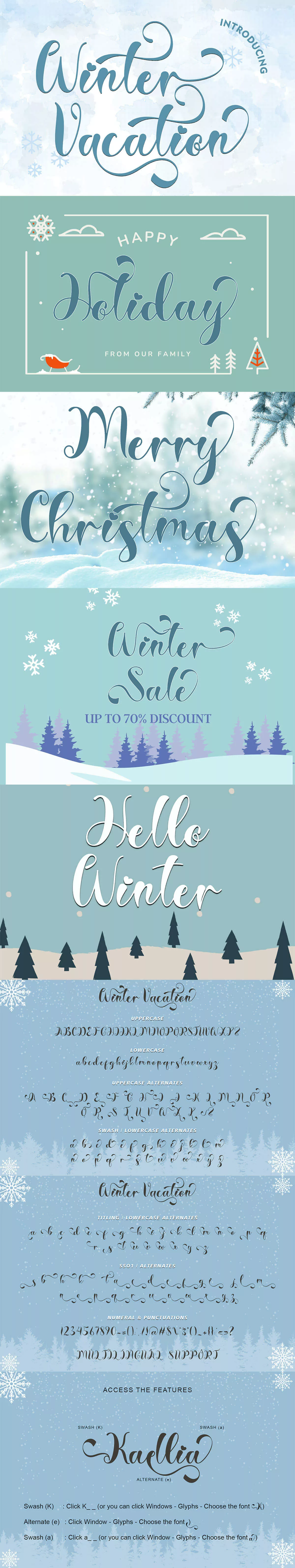 Winter Vacation Script Font