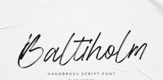 Baltiholm Handbrush Script Font