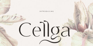 Cellga Sans Serif Font