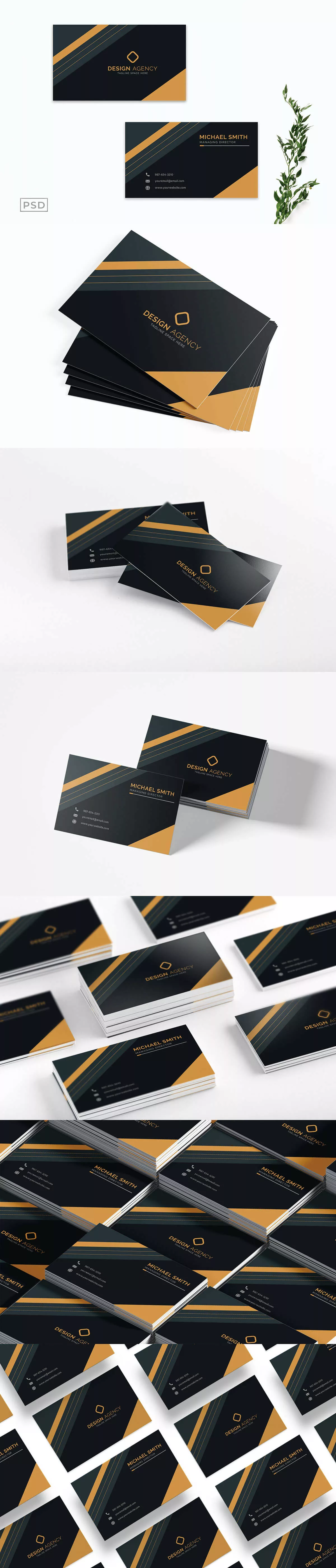 Professional Business Card Template V2