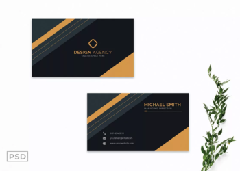 Professional Business Card Template V2