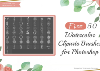 50 Watercolor Photoshop Brushes Pack