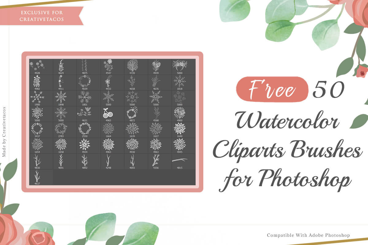 50 Free Watercolor Photoshop Brushes Pack By Creativetacos