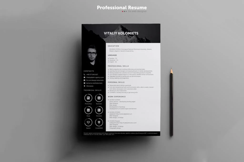 15 Best Resume Templates Free Download