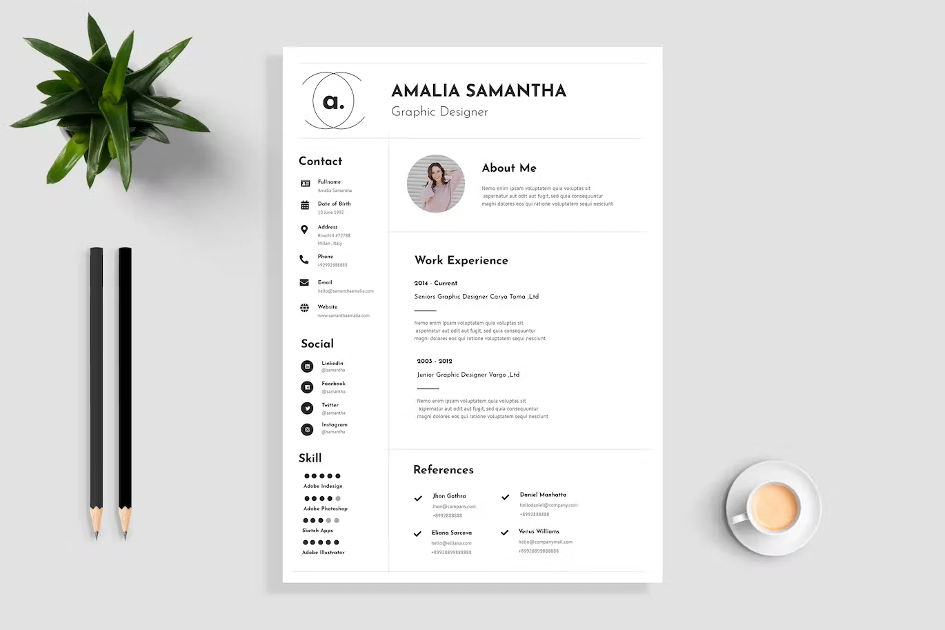 15 Best Resume Templates Free Download